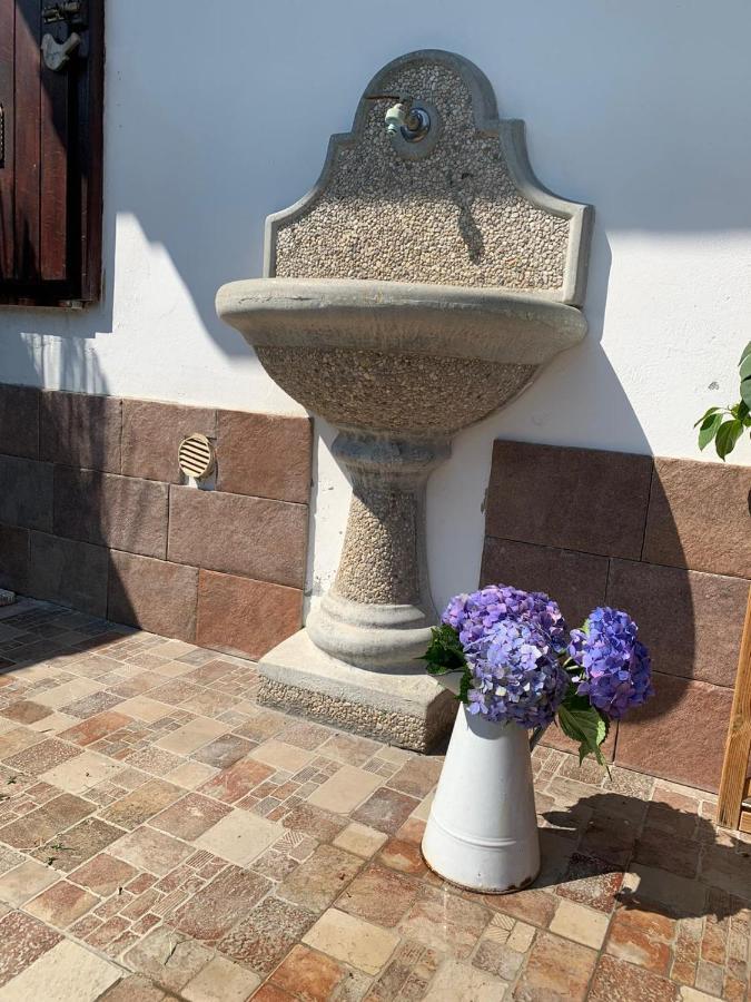 Maison Diletta Castelletto sopra Ticino Extérieur photo